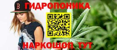 марки nbome Гатчина