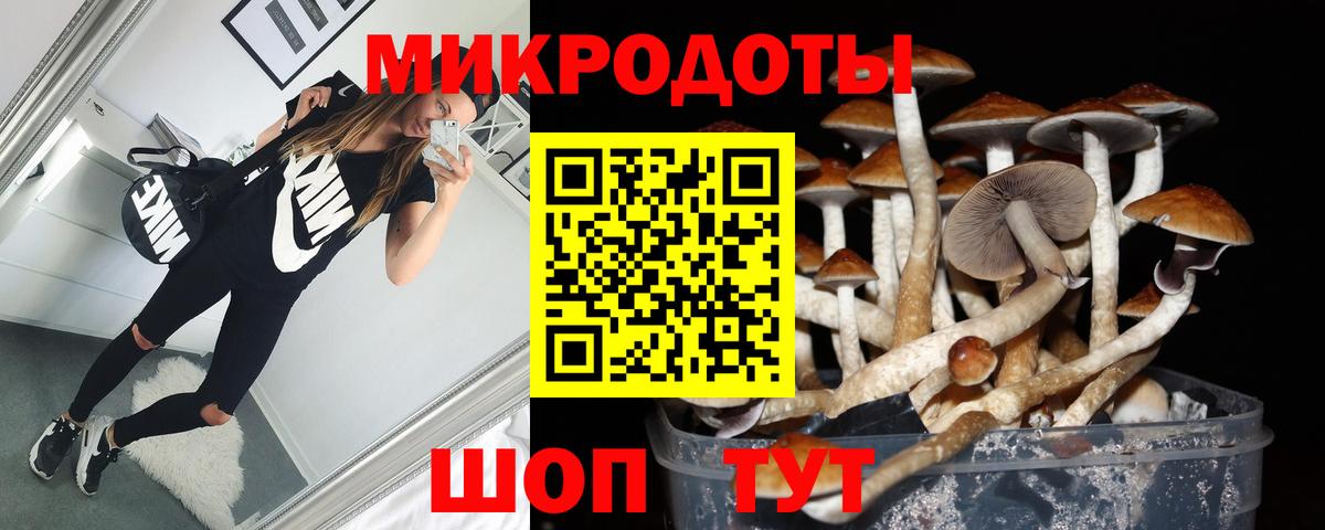 Галлюциногенные грибы Magic Shrooms Муравленко
